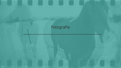 Fotografie